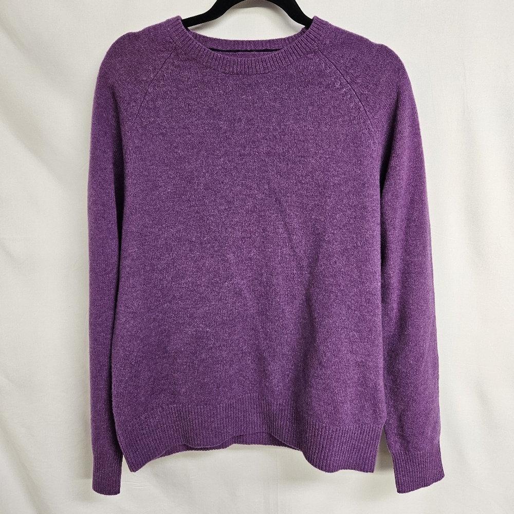 J.Crew NWT MEDIUM Lambs Wool Pullover Sweater Crewneck Purple Stretch NEW